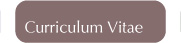 Curriculum Vitae: Information about my scholarly career