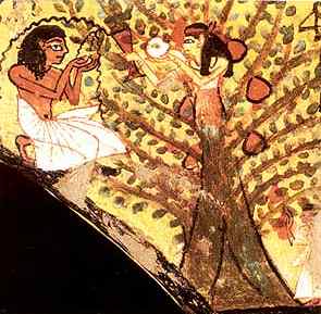 treegoddess, tomb of pahedu