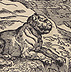 Italian School, after Titian (Tiziano Vecellio): Saint Jerome in the Wilderness